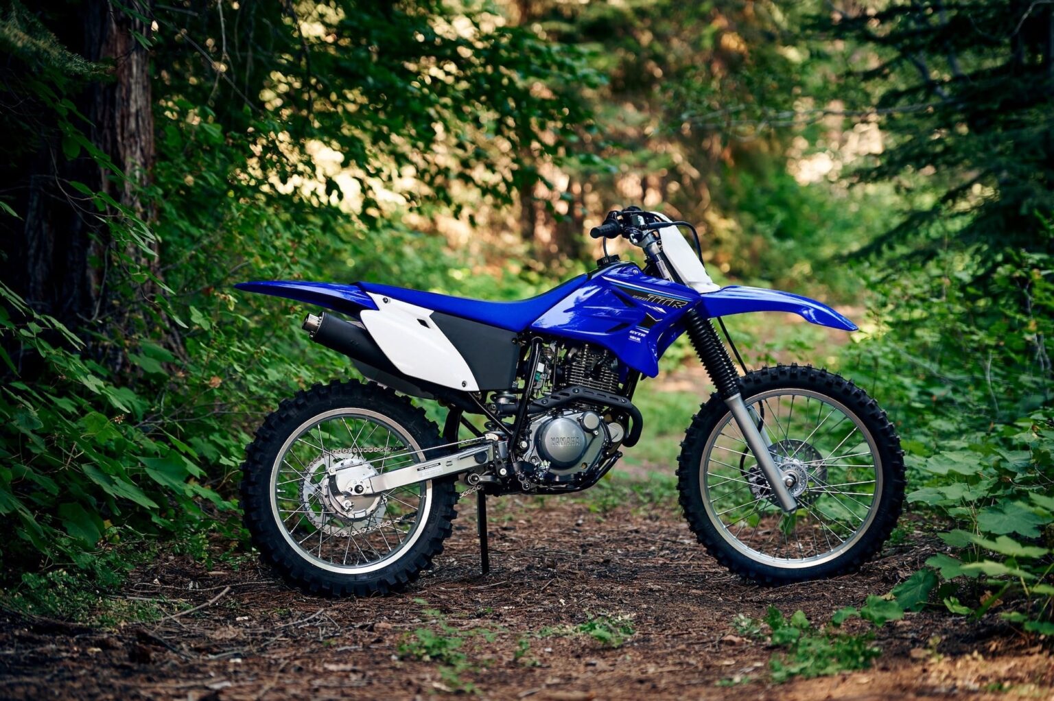 Yamaha TTR230 (2005present) Maintenance Schedule