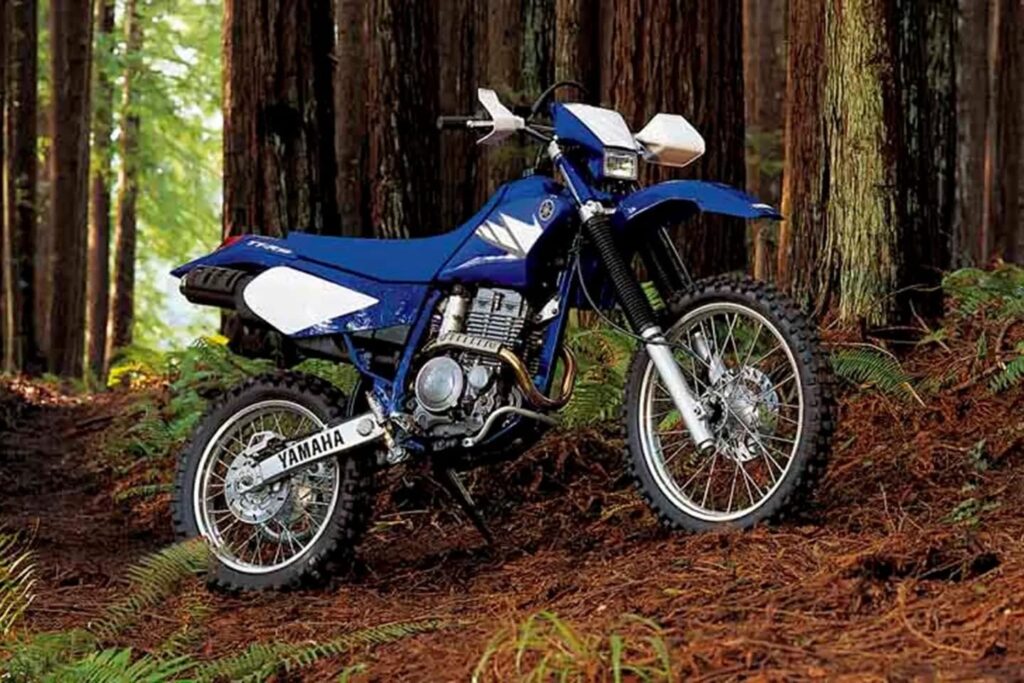 Yamaha TT-R250 static